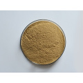 Hot Selling Natural Seaweed Extract Powder